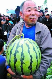 20岁的吃瓜老头,20岁吃瓜老头的青春奇遇记