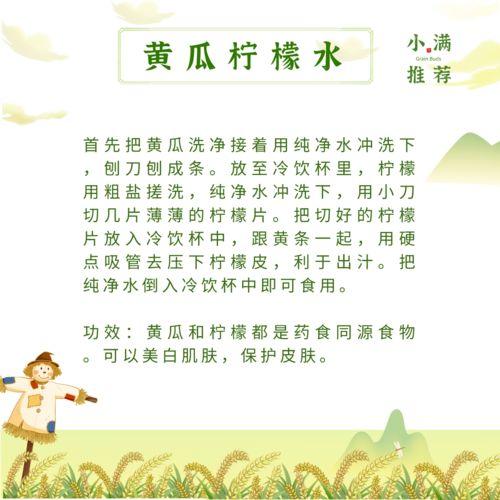 带你吃瓜收费的菜单,揭秘网红美食背后的真相