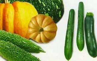 木必瓜怎样吃,解锁美味新体验