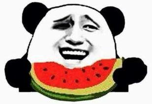 找瓜吃的吃瓜群众,网络时代的围观文化现象