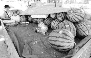 吃瓜群众的瓜摊,揭秘娱乐圈幕后那些事儿