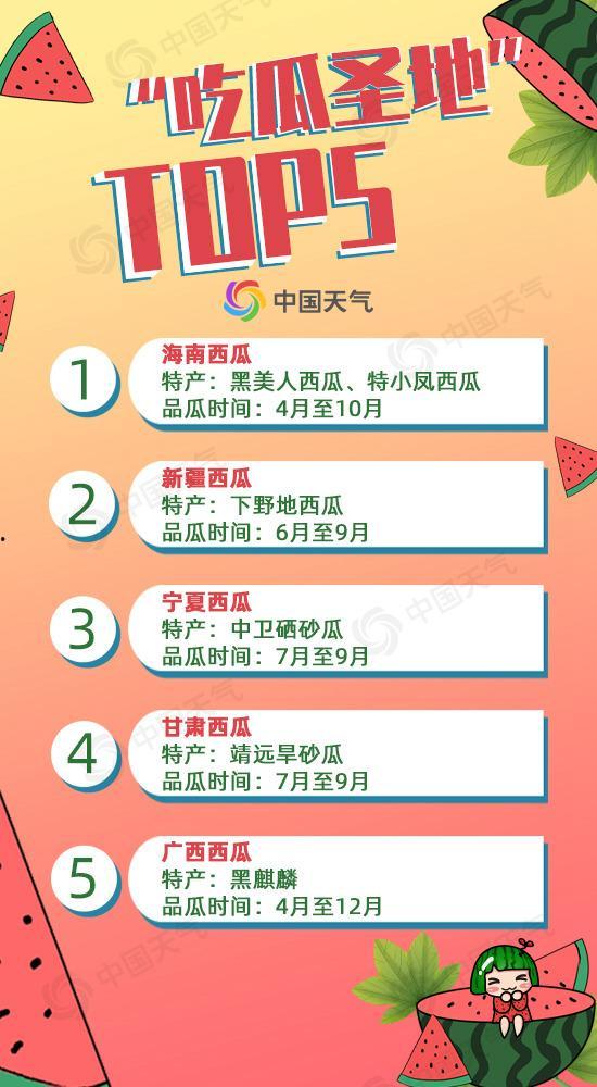 吃瓜大王评选标准,揭秘评选标准与精彩瞬间