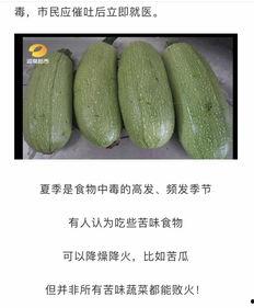 新疆白瓜怎么吃,解锁美味新体验