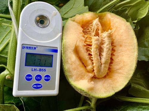 421吃瓜大全,揭秘娱乐圈那些不为人知的幕后故事