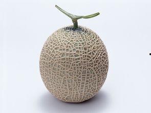 怀孕前期可以吃哈密瓜,哈密瓜助力母婴健康