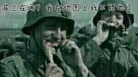 吃瓜群众何公子,揭秘娱乐圈幕后风云