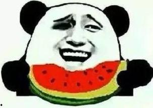 吃瓜群众种大瓜视频,一场视觉盛宴的狂欢之旅