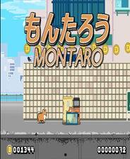 吃瓜网页,网络热议背后的真相与趣味