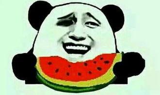 吃瓜过坑,揭秘娱乐圈背后的真相与陷阱