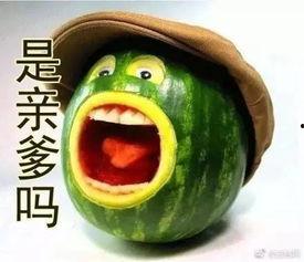 吃瓜过坑,揭秘娱乐圈背后的真相与陷阱