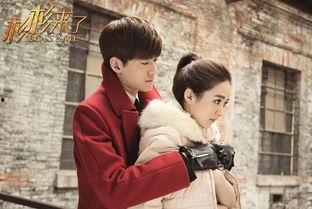 柒柒吃瓜小说,揭秘娱乐圈背后的秘密与真相