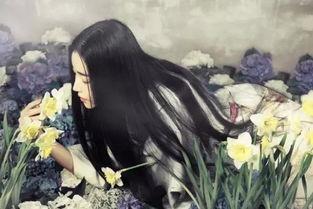 柒柒吃瓜小说,揭秘娱乐圈背后的秘密与真相