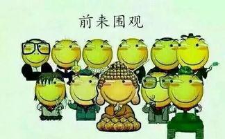 吃瓜群众810,一场全民参与的舆论风暴