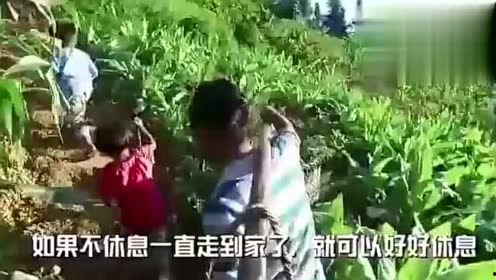 朱庄吃瓜视频,揭秘网络红人背后的故事