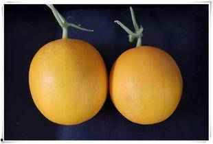 济南平阴吃瓜,济南平阴的独特风味体验