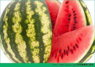 肥宅部落每日吃瓜,每日吃瓜，笑对人生百态