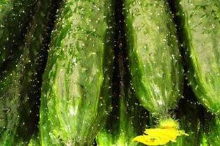 吃瓜带来的弊端,揭秘网络舆论的负面影响