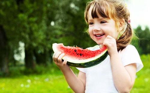 春夏聊吃瓜小说,一场吃瓜小说的甜蜜盛宴