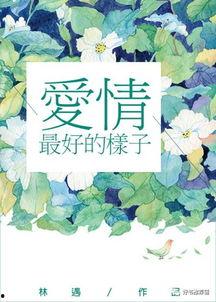 春夏聊吃瓜小说,一场吃瓜小说的甜蜜盛宴