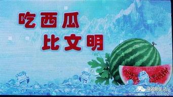 每日吃瓜总汇,盘点娱乐圈新鲜事，揭秘热点背后的真相