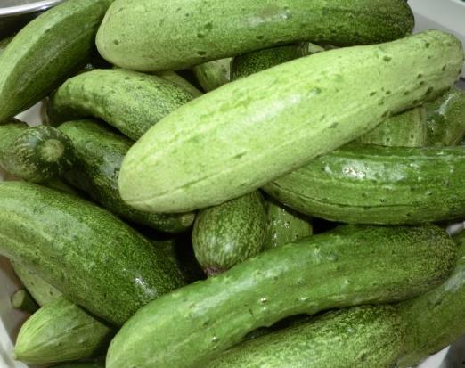 梦见买豆角买瓜吃,豆角瓜果间的神秘启示