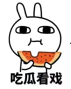 吃瓜表情蝴蝶忍,揭秘网络红人的魅力与影响力