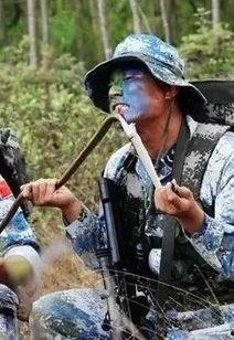 海军卧底吃瓜视频,揭秘神秘吃瓜视频背后的真相