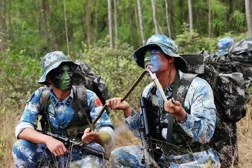 海军卧底吃瓜视频,揭秘神秘吃瓜视频背后的真相