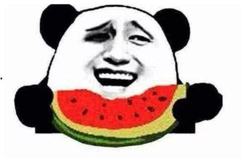 到欢乐吃瓜,畅享夏日清凉时光