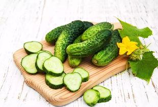 河南禹州吃瓜,探寻河南禹州特色美食之旅