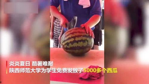 校园吃瓜视频集锦,吃瓜视频集锦大揭秘