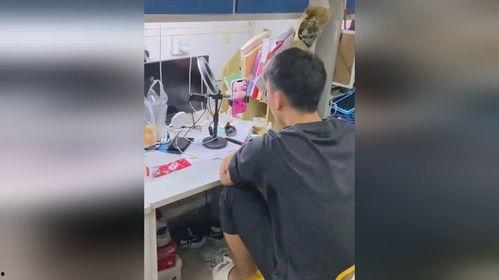 寝室吃瓜比赛视频,一场视觉与味觉的双重盛宴