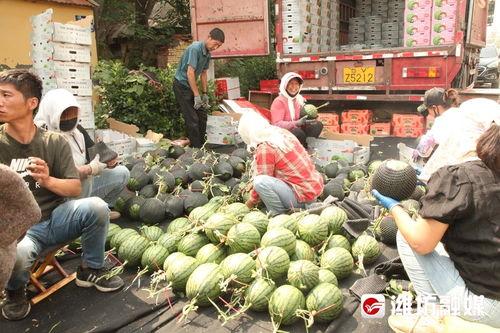 吃瓜吃在第一前线,揭秘第一前线幕后故事