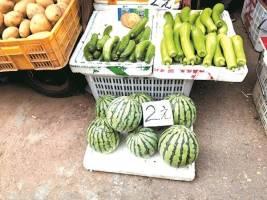 自由吃瓜的群众