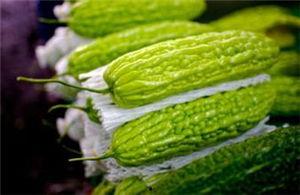 毛瓜孕妇可以吃吗,孕妇饮食中的健康之选