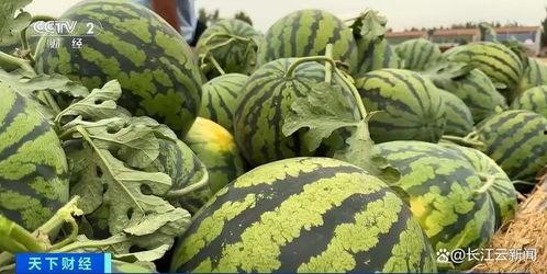 小众吃瓜集精地