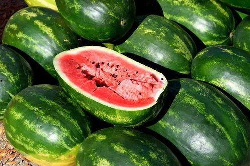 吃瓜隐藏图片大全,趣味与幽默的视觉盛宴