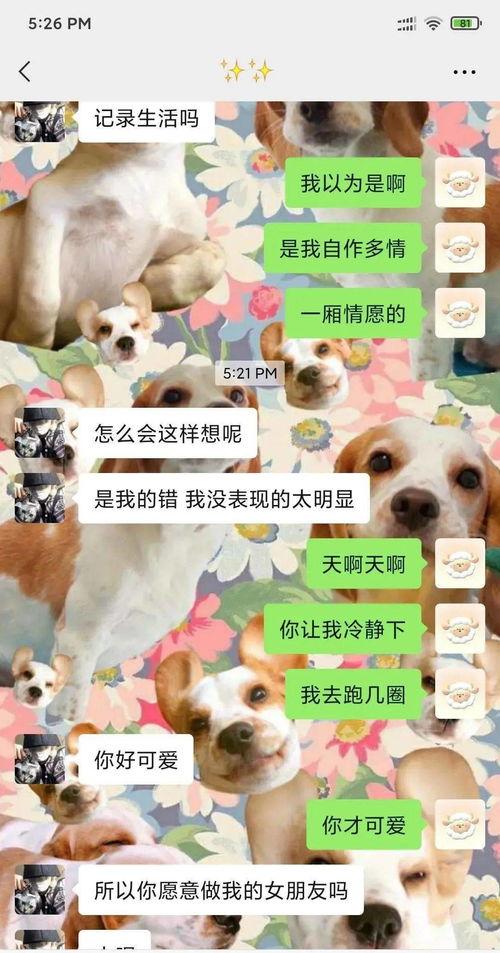 吃瓜变成吃狗粮