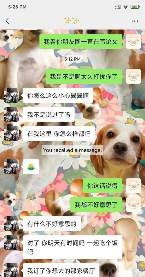 吃瓜变成吃狗粮